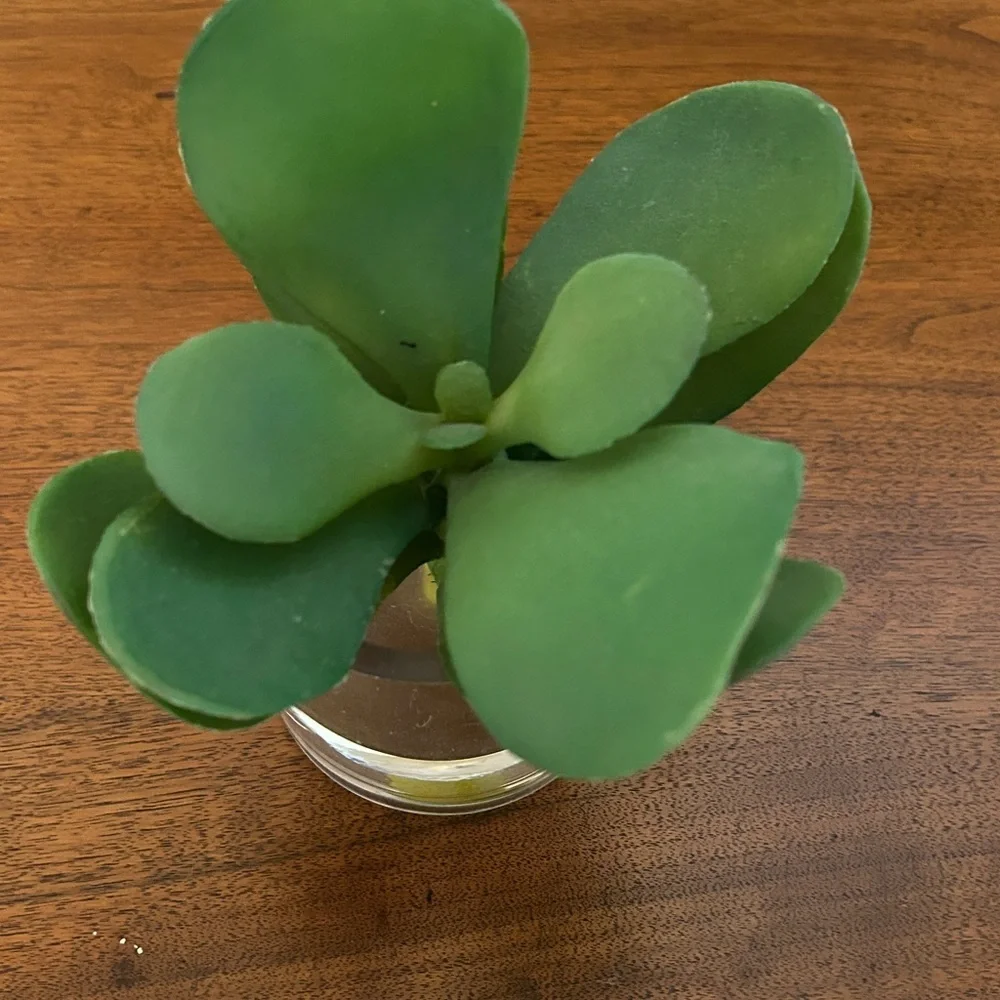 Green Artificial Plant in Clear Glass Vase